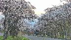 takano2-20250505181028.jpg