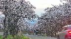 takano2-20250505184031.jpg