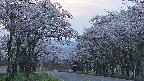 takano2-20250505185030.jpg