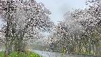 takano2-20250507051029.jpg