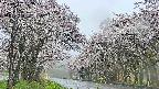 takano2-20250507053028.jpg