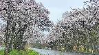 takano2-20250507054029.jpg