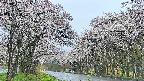 takano2-20250507061031.jpg