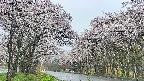 takano2-20250507063031.jpg