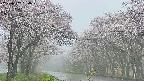 takano2-20250507064030.jpg