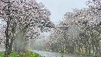 takano2-20250507071031.jpg