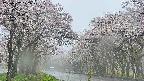 takano2-20250507072029.jpg
