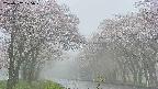 takano2-20250507075030.jpg