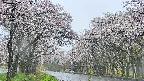 takano2-20250507081031.jpg