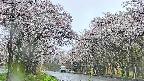 takano2-20250507082031.jpg