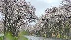 takano2-20250507083031.jpg