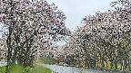 takano2-20250507085031.jpg
