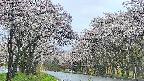 takano2-20250507091031.jpg
