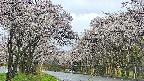 takano2-20250507093032.jpg