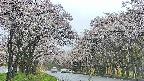 takano2-20250507095029.jpg