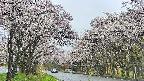 takano2-20250507101031.jpg