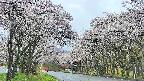 takano2-20250507102031.jpg