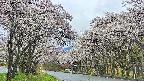 takano2-20250507103030.jpg