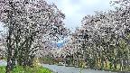 takano2-20250507104030.jpg