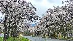 takano2-20250507105031.jpg