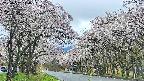 takano2-20250507110032.jpg