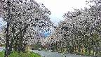 takano2-20250507112030.jpg