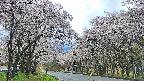 takano2-20250507114030.jpg