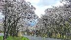 takano2-20250507115029.jpg