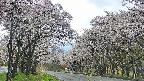 takano2-20250507121030.jpg
