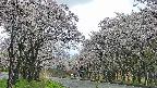 takano2-20250507122030.jpg