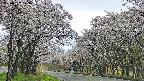 takano2-20250507123031.jpg