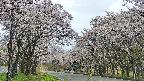 takano2-20250507124030.jpg