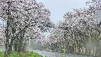 takano2-20250507132031.jpg