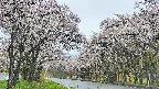 takano2-20250507140032.jpg