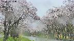 takano2-20250507144031.jpg