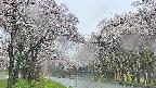 takano2-20250507145031.jpg