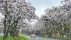 takano2-20250507150029.jpg