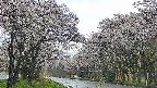 takano2-20250507151029.jpg