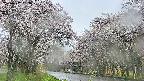 takano2-20250507153029.jpg