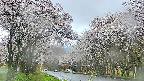 takano2-20250507155030.jpg