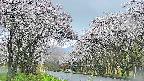 takano2-20250507160032.jpg