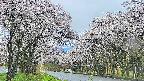 takano2-20250507161029.jpg