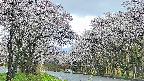 takano2-20250507163031.jpg