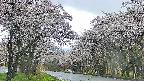 takano2-20250507164031.jpg