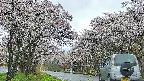 takano2-20250507165031.jpg