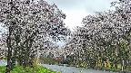 takano2-20250507170030.jpg