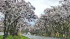 takano2-20250507171032.jpg