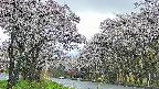 takano2-20250507172030.jpg
