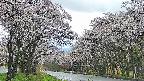 takano2-20250507173031.jpg