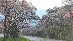 takano2-20250507180031.jpg